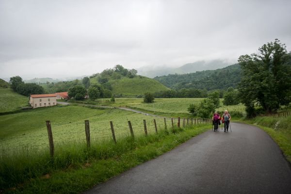 Camino Frances Highlights - 15 Days - Group Guided